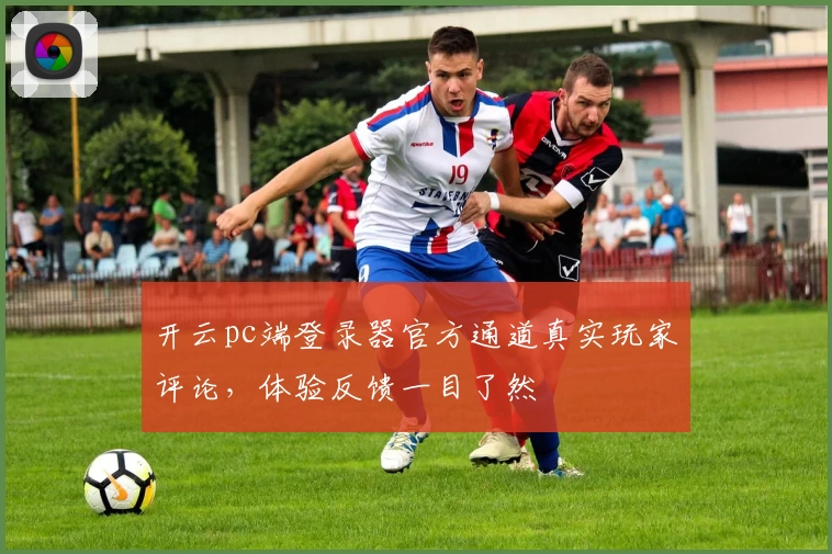 开云pc端登录器官方通道真实玩家评论，体验反馈一目了然