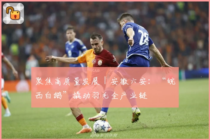 聚焦高质量发展｜安徽六安：“皖西白鹅”撬动羽毛全产业链