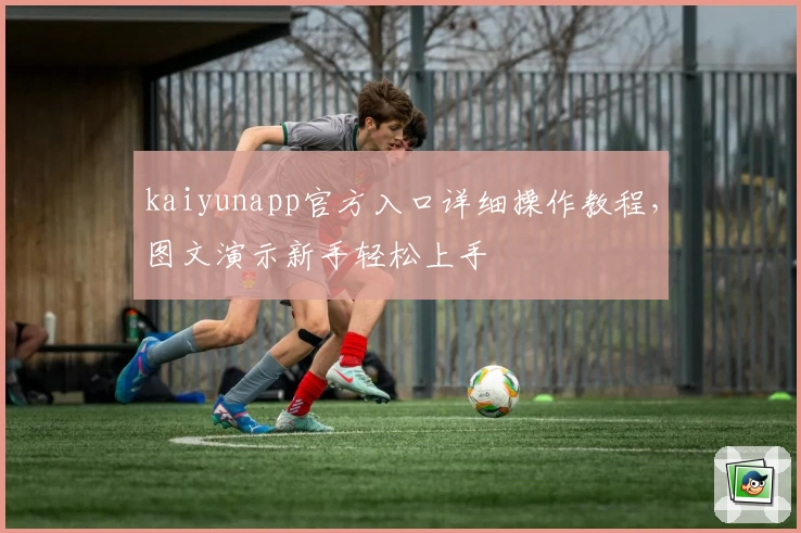 kaiyunapp官方入口详细操作教程，图文演示新手轻松上手