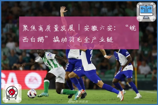 聚焦高质量发展｜安徽六安：“皖西白鹅”撬动羽毛全产业链