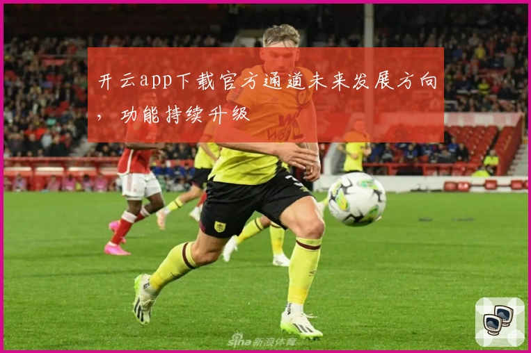 开云app下载官方通道未来发展方向，功能持续升级