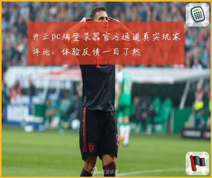 开云pc端登录器官方通道真实玩家评论，体验反馈一目了然