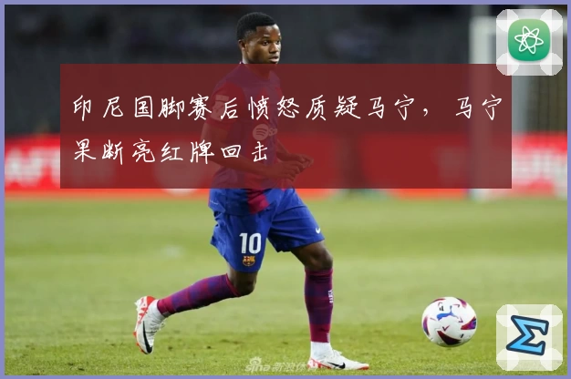 印尼国脚赛后愤怒质疑马宁，马宁果断亮红牌回击